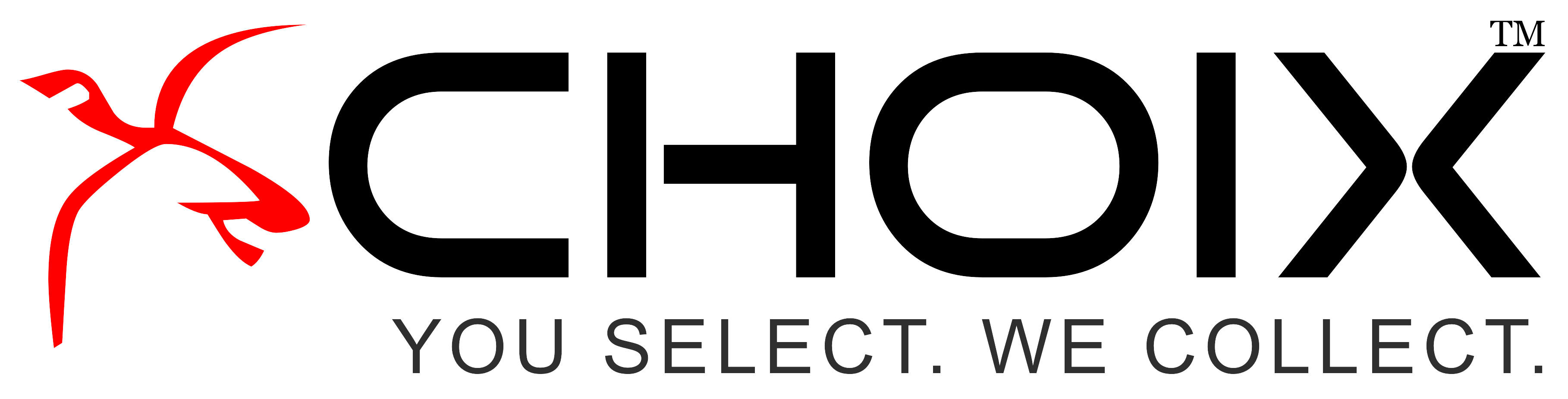 site-logo image